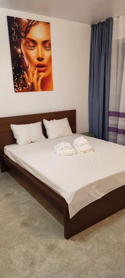 Jacuzzi Belle View Sinaia-Free Parkingアパートメント エクステリア 写真